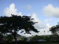 DSC03895.jpg