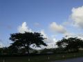 DSC03896.jpg