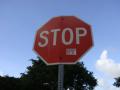 DSC03899.jpg