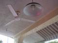 DSC03902.jpg