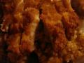 DSC04110.jpg
