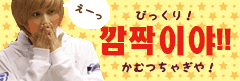 team-bikkuri.gif