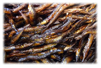 名人が作る『ふるせの佃煮(ふるせのくぎ煮)』