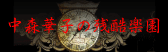 JWP 中森華子