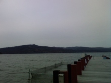 癒しの小道-ええ