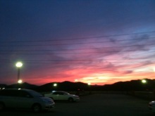 癒しの小道　　　心治療士-ｚｘ