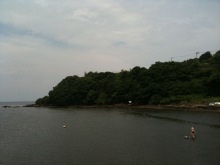 癒しの小道　　　心治療士-ｒ