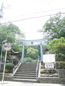 癒しの小道　　　心治療士-ｗ