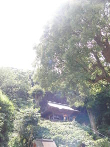 癒しの小道　　　心治療士-ｘ