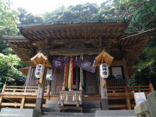 癒しの小道　　　心治療士-ｃ