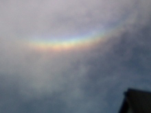 癒しの小道　　　心治療士-ｄ