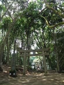 癒しの小道　　　心治療士-ｚ