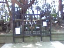 癒しの小道　　　心治療士-あ