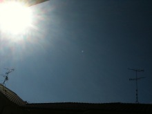 癒しの小道　　　心治療士-ｄ