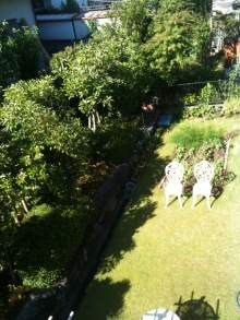 癒しの小道　　　心治療士-ｃ