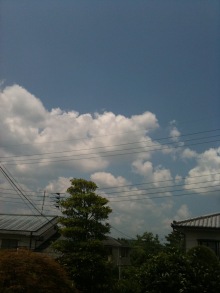 癒しの小道　　　心治療士-ｒ