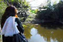 癒しの小道　　　心治療士-ｃ