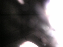 癒しの小道　　　心治療士-き