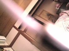 癒しの小道　　　心治療士-う