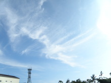 癒しの小道　　　心治療士-ｚ