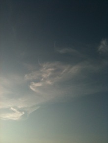 癒しの小道　　　心治療士-ｈ