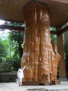 癒しの小道　　　心治療士-ｃ