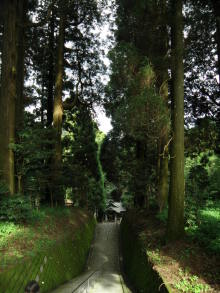 癒しの小道　　　心治療士-ｖ