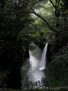 癒しの小道　　　心治療士-ｎ