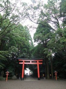 癒しの小道　　　心治療士-ｚ