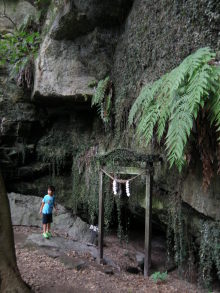 癒しの小道　　　心治療士-ｇ