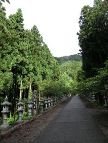 $癒しの小道　　　心治療士-ｃ