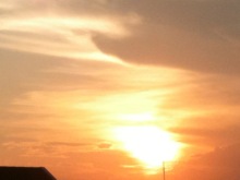 $癒しの小道　　　心治療士-ｘ