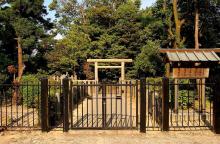 $癒しの小道　　　心治療士-ｖ