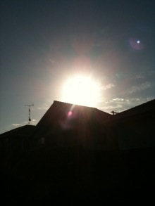 $癒しの小道　　　心治療士-ｇｄ