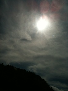 $癒しの小道　　　心治療士-ｘ