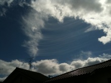 $癒しの小道　　　心治療士-ｙ