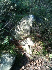 $癒しの小道　　　心治療士-ｖｘ