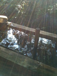 $癒しの小道　　　心治療士-ｗ