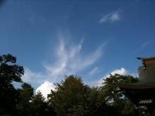 $癒しの小道　　　心治療士-い