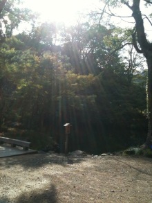 $癒しの小道　　　心治療士-ｓ