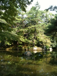 $癒しの小道　　　心治療士-ｙ