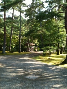 $癒しの小道　　　心治療士-ｔ