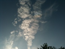 $癒しの小道　　　心治療士-ｎ