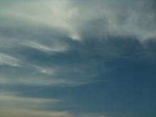 $癒しの小道　　　心治療士-ｔ