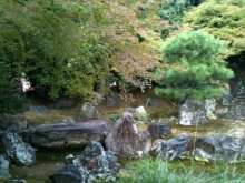 $癒しの小道　　　心治療士-ｙ