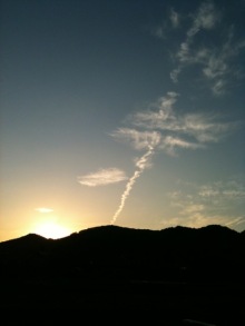 $癒しの小道　　　心治療士-ｙ