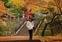 $癒しの小道　　　心治療士-ｗ