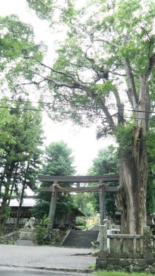 $癒しの小道　　　心治療士-ｔ