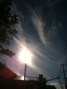 $癒しの小道　　　心治療士-ｚ