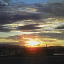 $癒しの小道　　　心治療士-ｎ